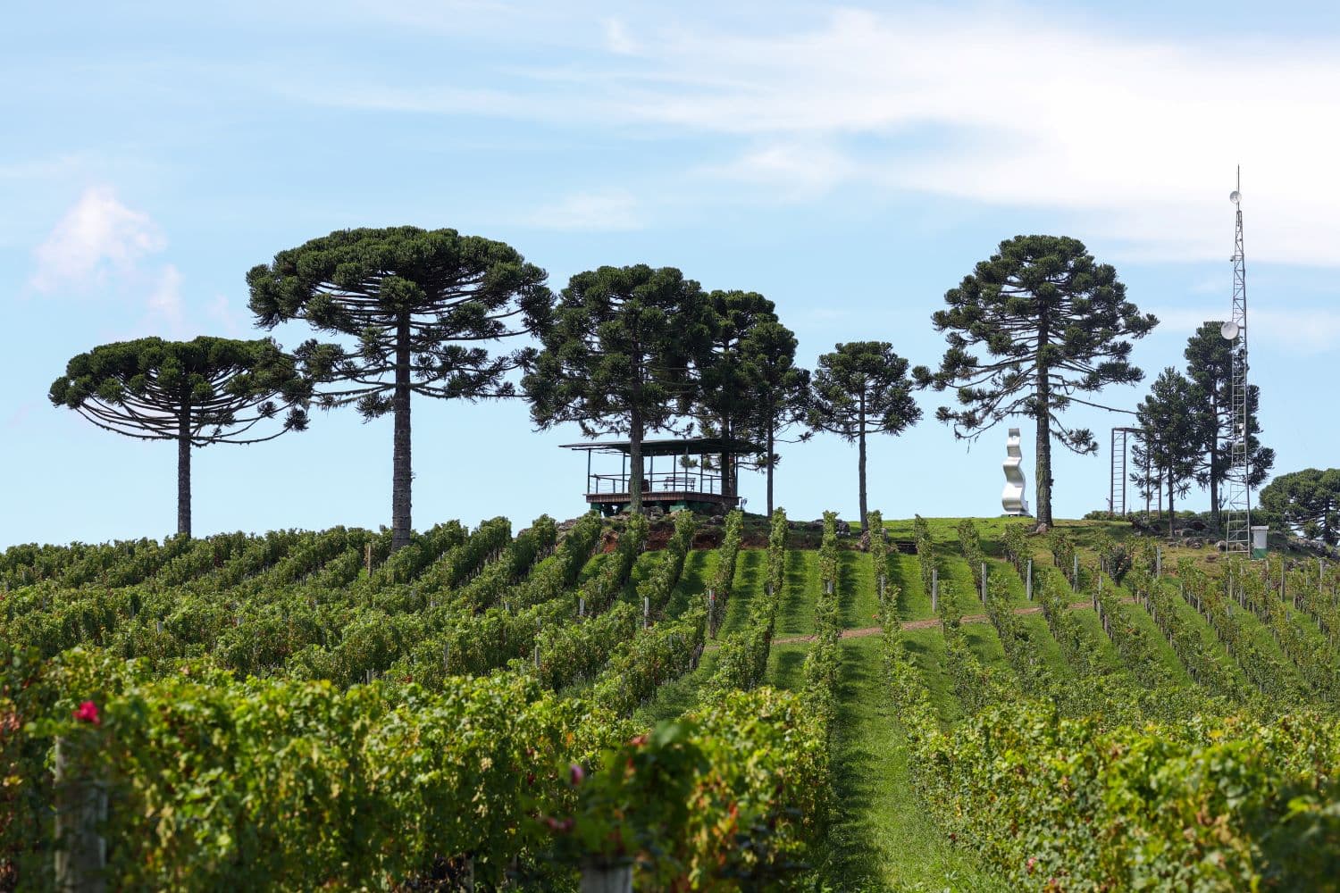 Iniciativa integra ações previstas no Plano de Governo do executivo estadual (por Roberto Zacarias/SecomGOVSC)