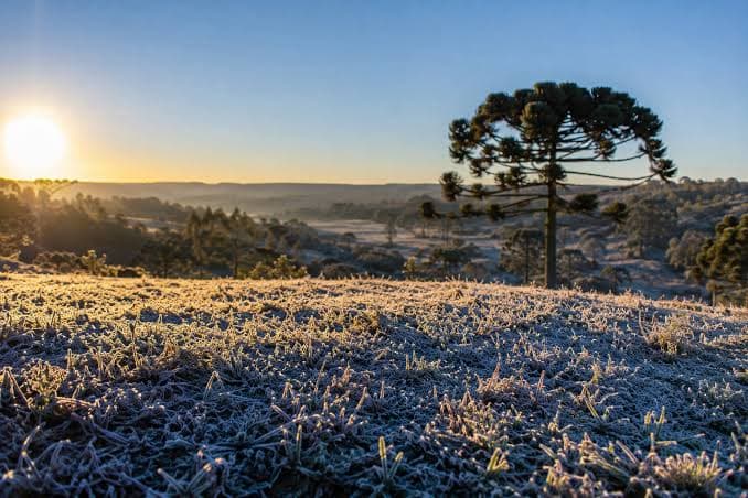 Frio intenso e geada voltam a atingir Santa Catarina nesta terça-feira