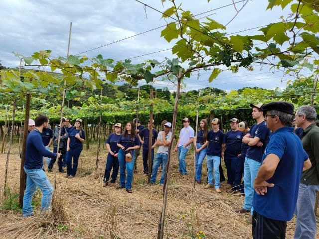 Governo do Estado e Epagri investem R$20,5 milhões no ensino agrotécnico (Foto por Helena Moraes/Epagri)