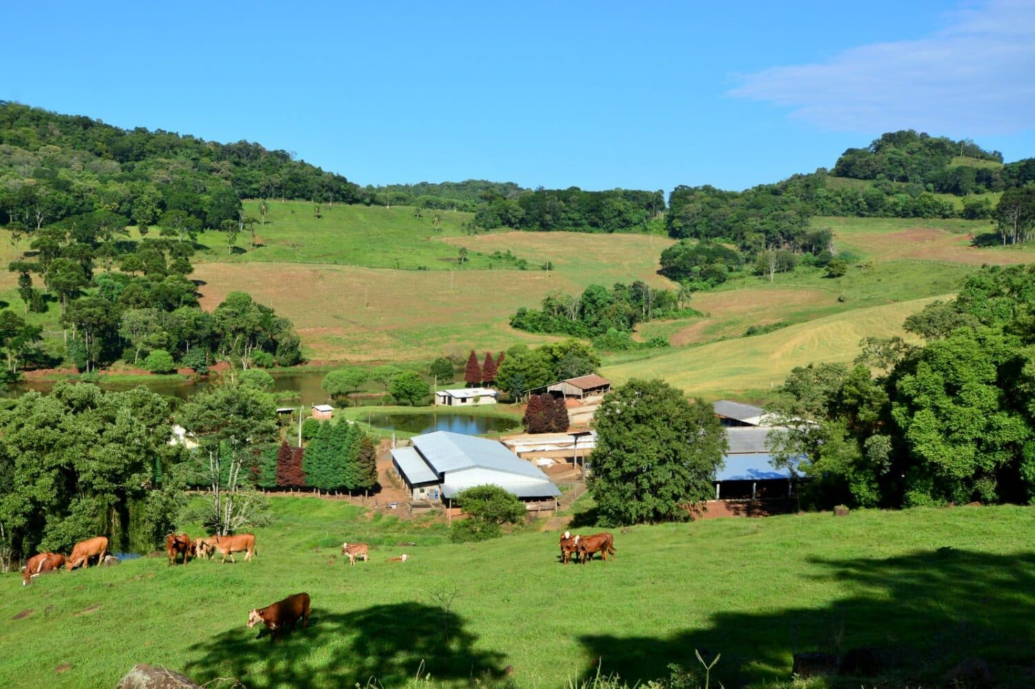 SC reforça prevenção e apoio ao agro diante dos efeitos do El Niño 2026/2027