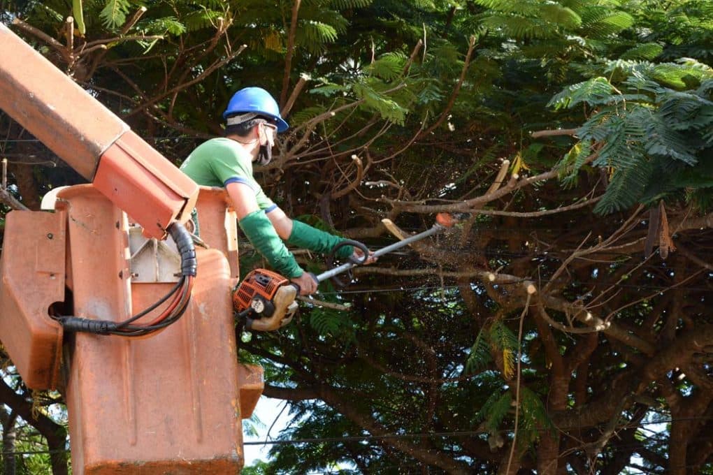 Prefeitura inicia ação em maio com apoio de empresa contratada via licitação (Foto por Divulgação)