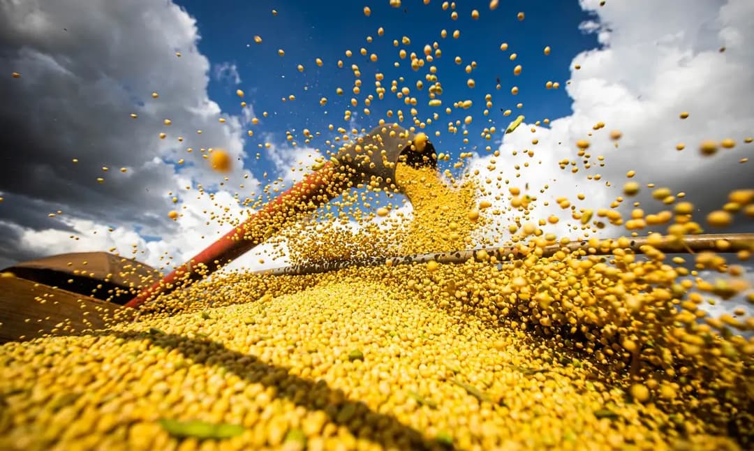 Produção agrícola brasileira cresce 18,2% e supera 345 milhões de toneladas em 2025