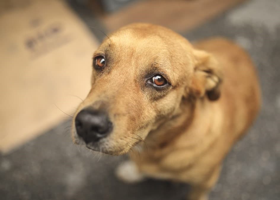 Imagem meramente ilustrativa (Foto por Reprodução/Internet)