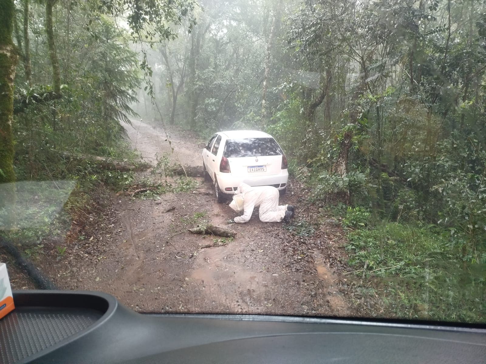 Motorista tenta passar sobre árvore caída e acaba cercado por abelhas em Vitorino (Foto por CBM)