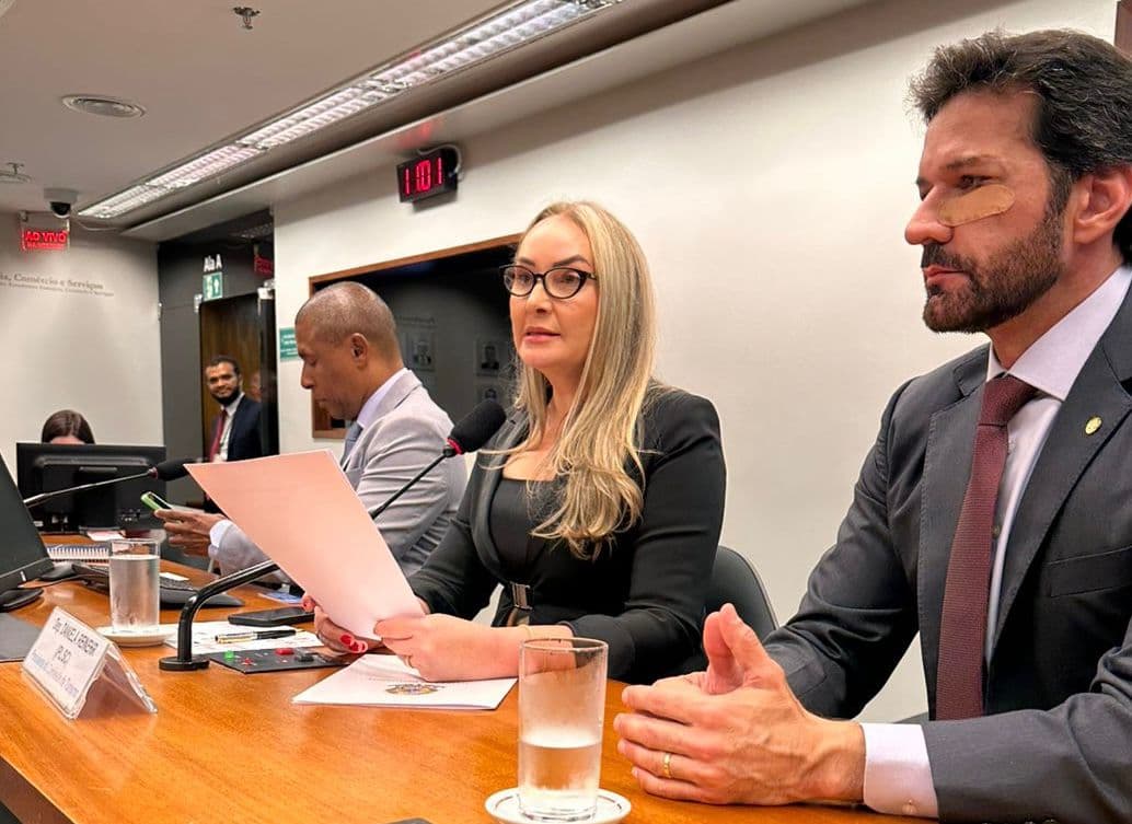 Daniela destacou a força do turismo na economia brasileira e a necessidade de transformar potencial em resultados permanentes (Foto por Divulgação)