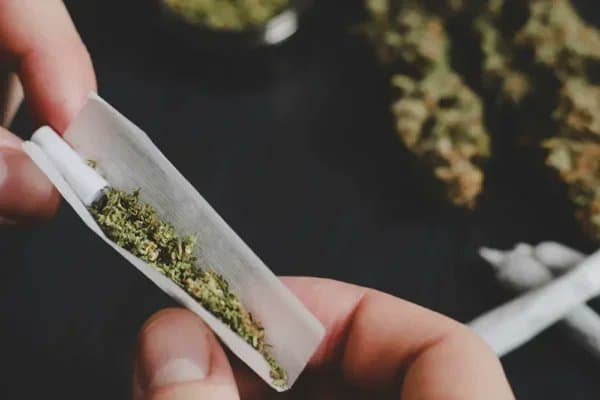 Florianópolis lidera consumo recente de maconha entre estudantes, aponta IBGE