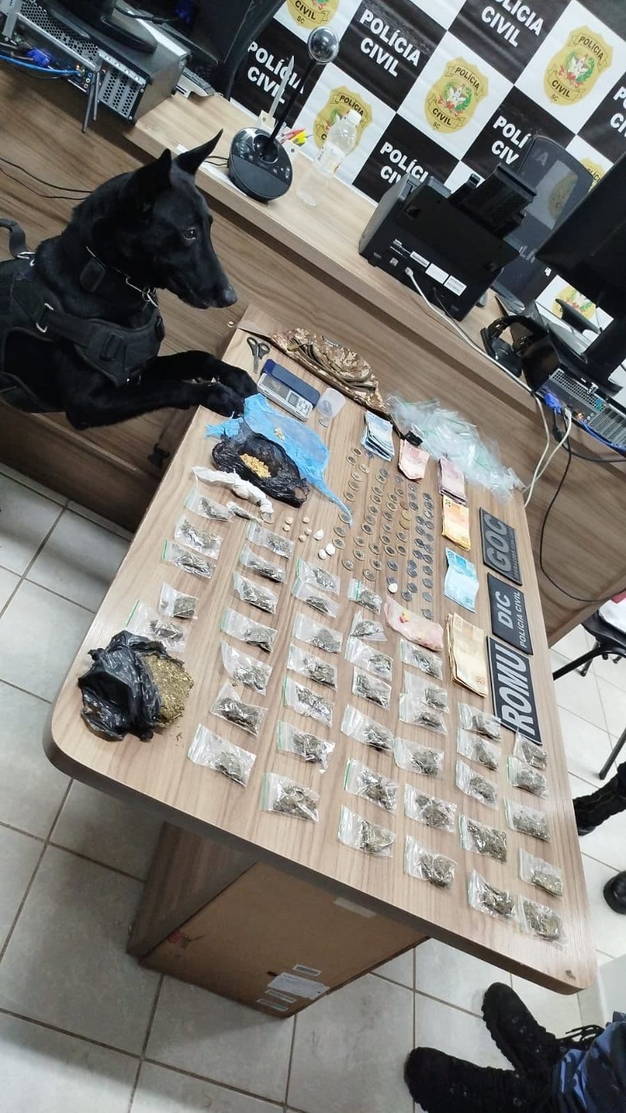 Operação mira suspeitos de homicídio e resulta em apreensão de drogas em Chapecó