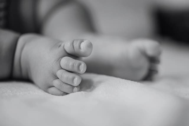 Polícia investiga mortes de bebês após suspeitas de infecções em hospital de São Paulo