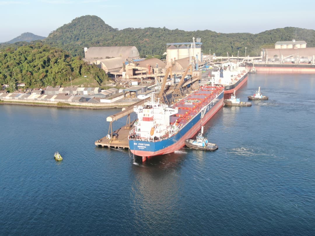 Porto de São Francisco do Sul alcança novo recorde