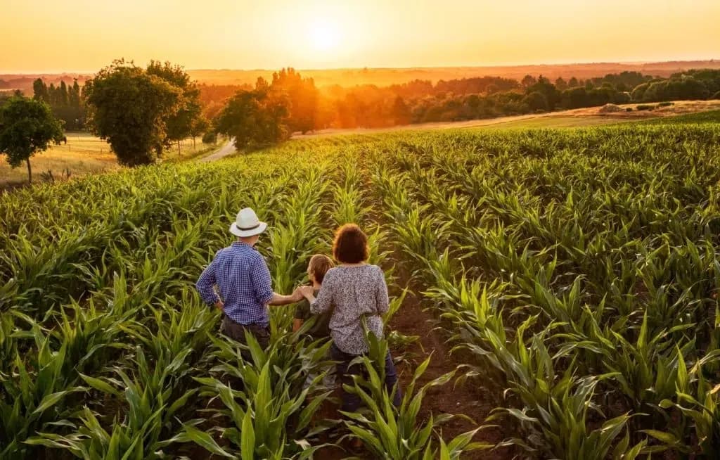 Atualização da Lei de Incentivo fortalece produção e infraestrutura rural em Maravilha (Foto por Reprodução/Internet)