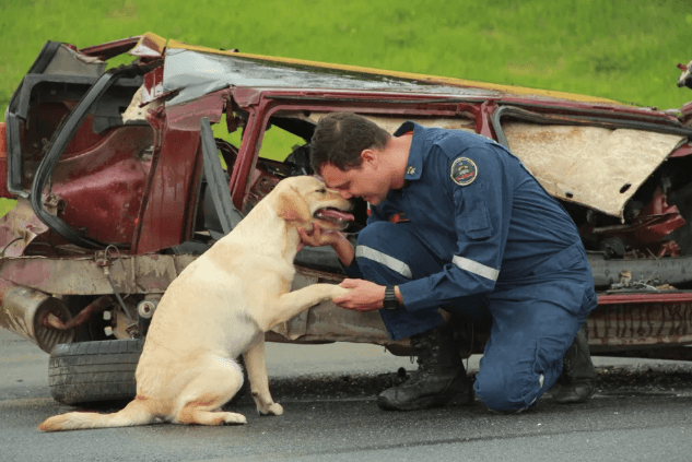 Cadela Moana e Soldado Amorim (Foto por Corpo de Bombeiros)
