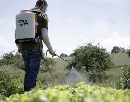 Estudo liga câncer colorretal em antes dos 50 anos à exposição a pesticidas (Foto por Reprodução/Internet)