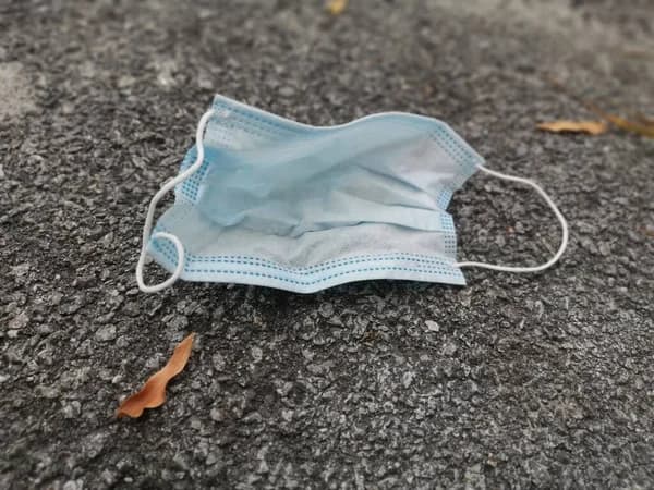 Vírus mortal surge em cruzeiro que saiu da Argentina 