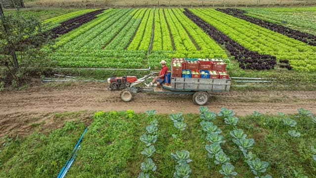 Santa Catarina amplia limite de transferência de créditos de ICMS para produtores rurais