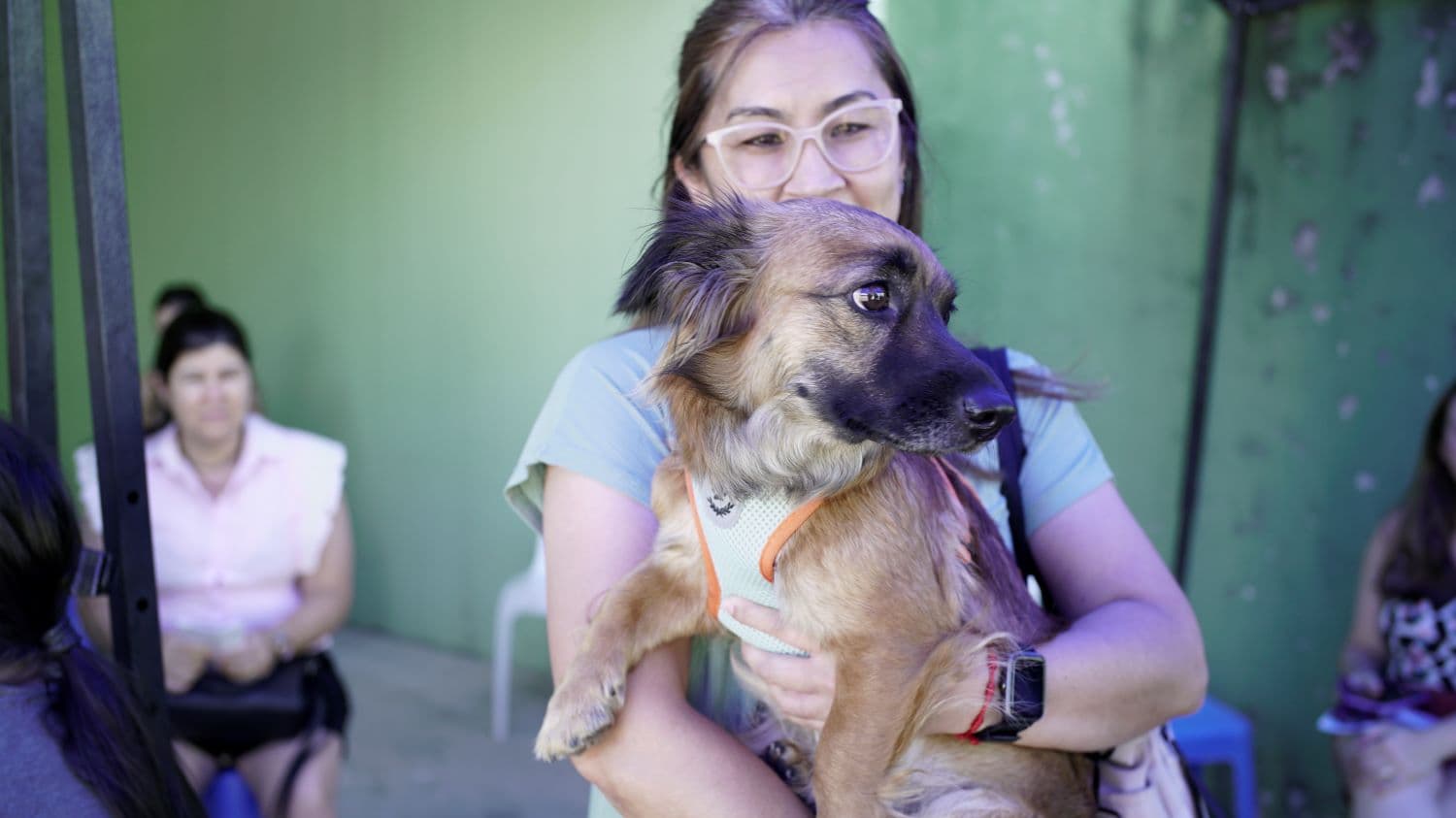 Estado intensifica políticas públicas e amplia ações de proteção animal durante o Abril Laranja (Foto por Divulgação)