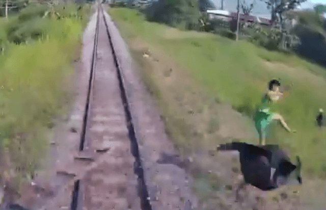 Menino é lançado a 7 metros de distância em incidente impressionante