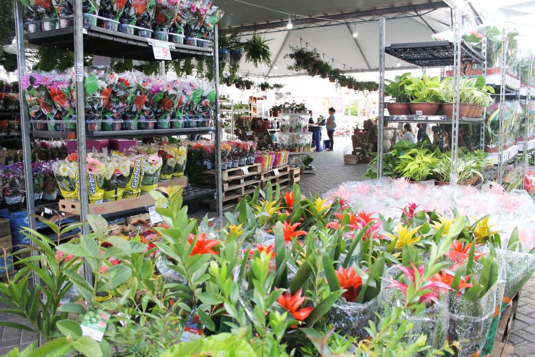 ExpoFlor reúne mais de 100 variedades de flores e plantas em lojas do Passarela e Via Atacadista