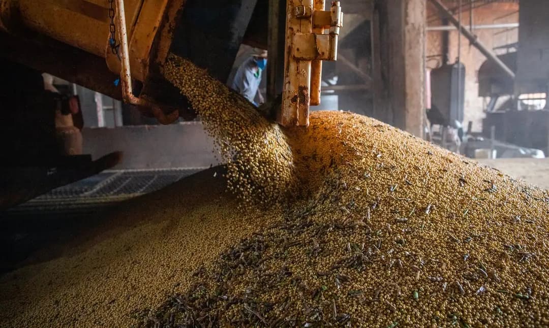 Brasil deve colher mais de 367 milhões de toneladas de grãos na safra 2026/2027