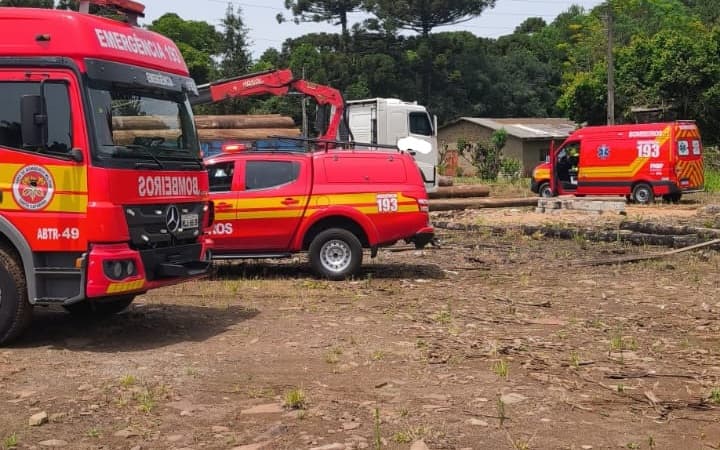 Tora de madeira mata trabalhador em descarregamento