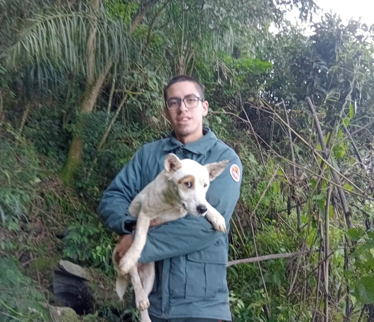 Animal estava em boas condições de saúde, segundo os bombeiros (Foto por Divulgação)