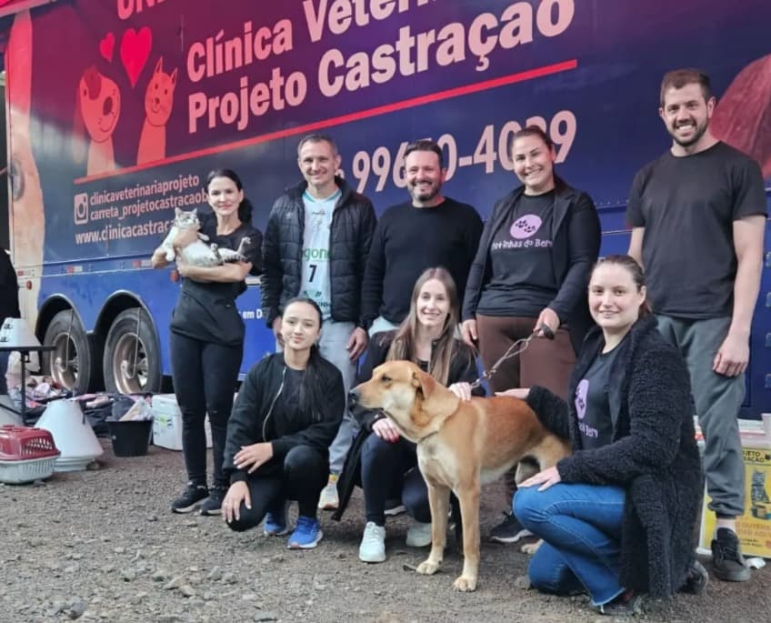 Pinhalzinho realiza castração e microchipagem de cerca de 400 cães e gatos