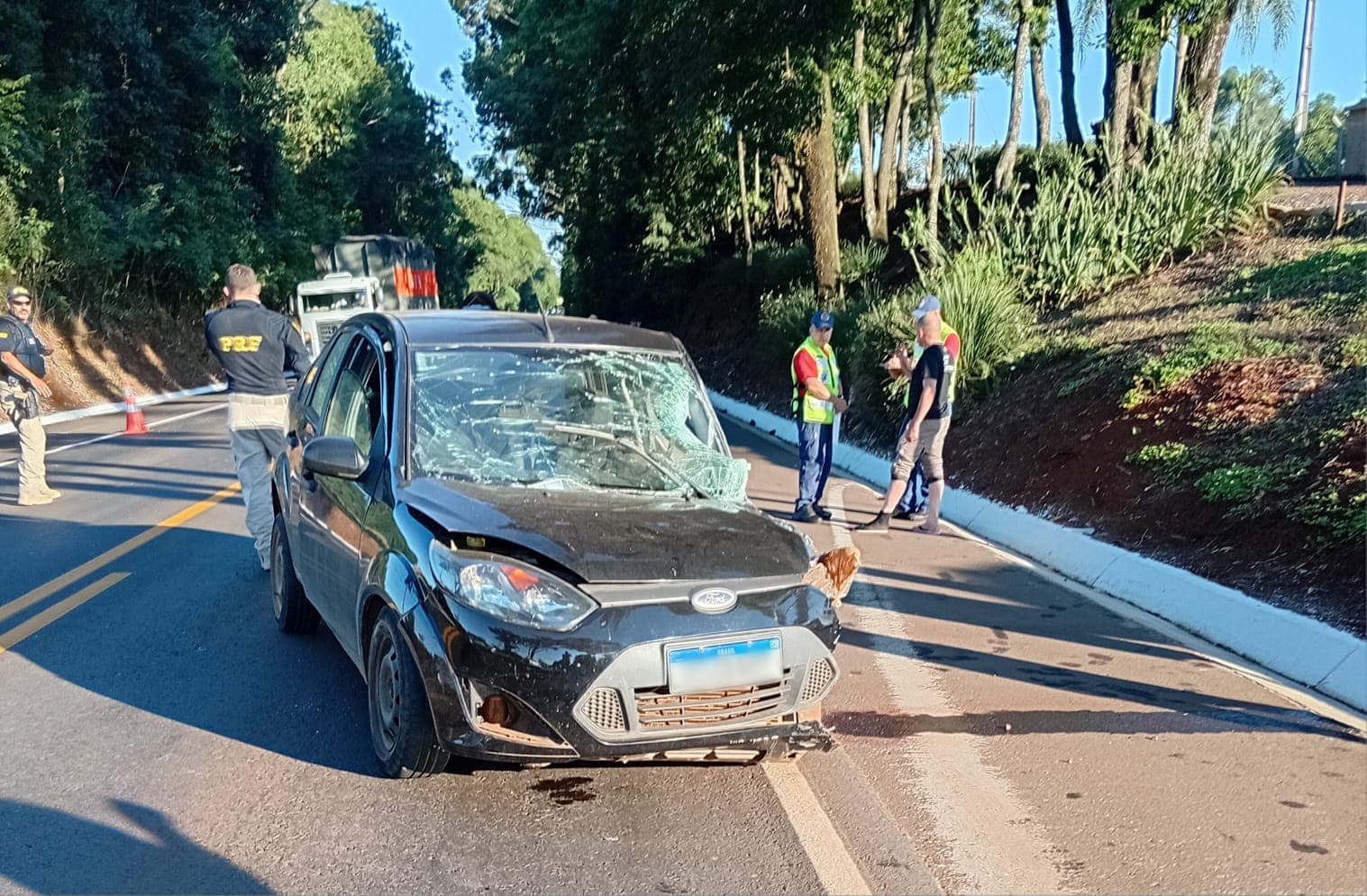 Batida violenta na BR-282 (por Corpo de Bombeiros)