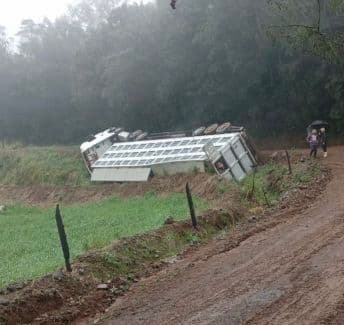 Veículo parou em plantação (Foto por Divulgação)