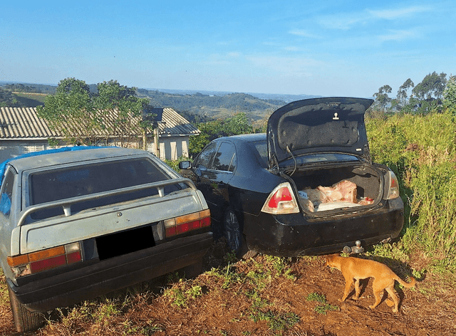 Funcionário é preso ao colocar 160 kg de carne no carro da esposa 