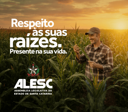 Publicidade