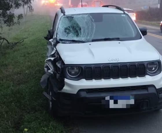 Irmãos de 7 e 14 anos morrem atropelados na BR-470; município decreta luto oficial