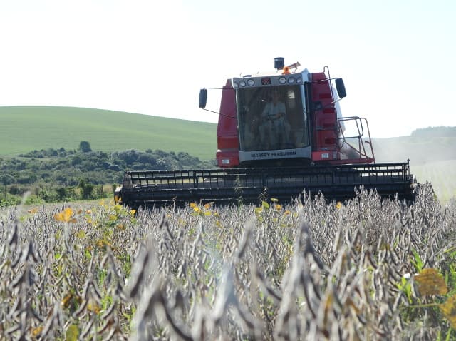 Valor de Produção Agropecuária catarinense cresce 15% (Foto por Epagri)