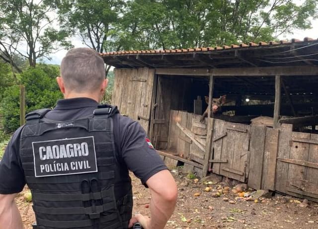 Polícia fiscaliza propriedade rural e apura maus-tratos a animais