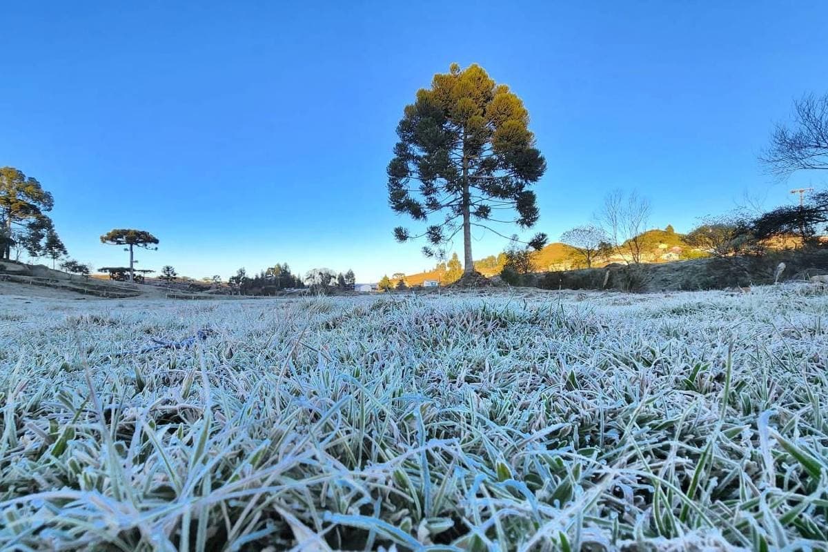 Santa Catarina terá amanhecer congelante no Dia das Mães com previsão de geada e temperaturas negativas (Foto por Divulgação)