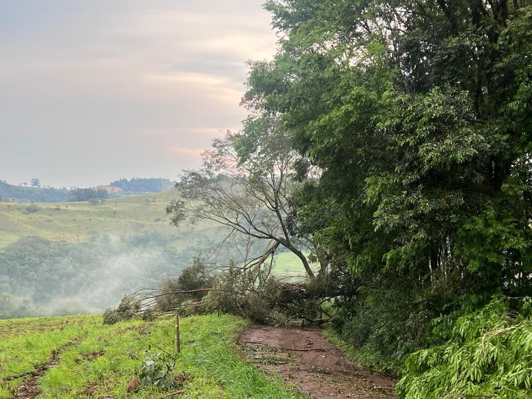 Temporal deixa árvores sobre estradas e causa danos em imóveis e na rede elétrica em Anchieta
