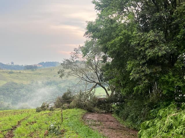 Temporal deixa árvores sobre estradas e causa danos em imóveis e na rede elétrica em Anchieta