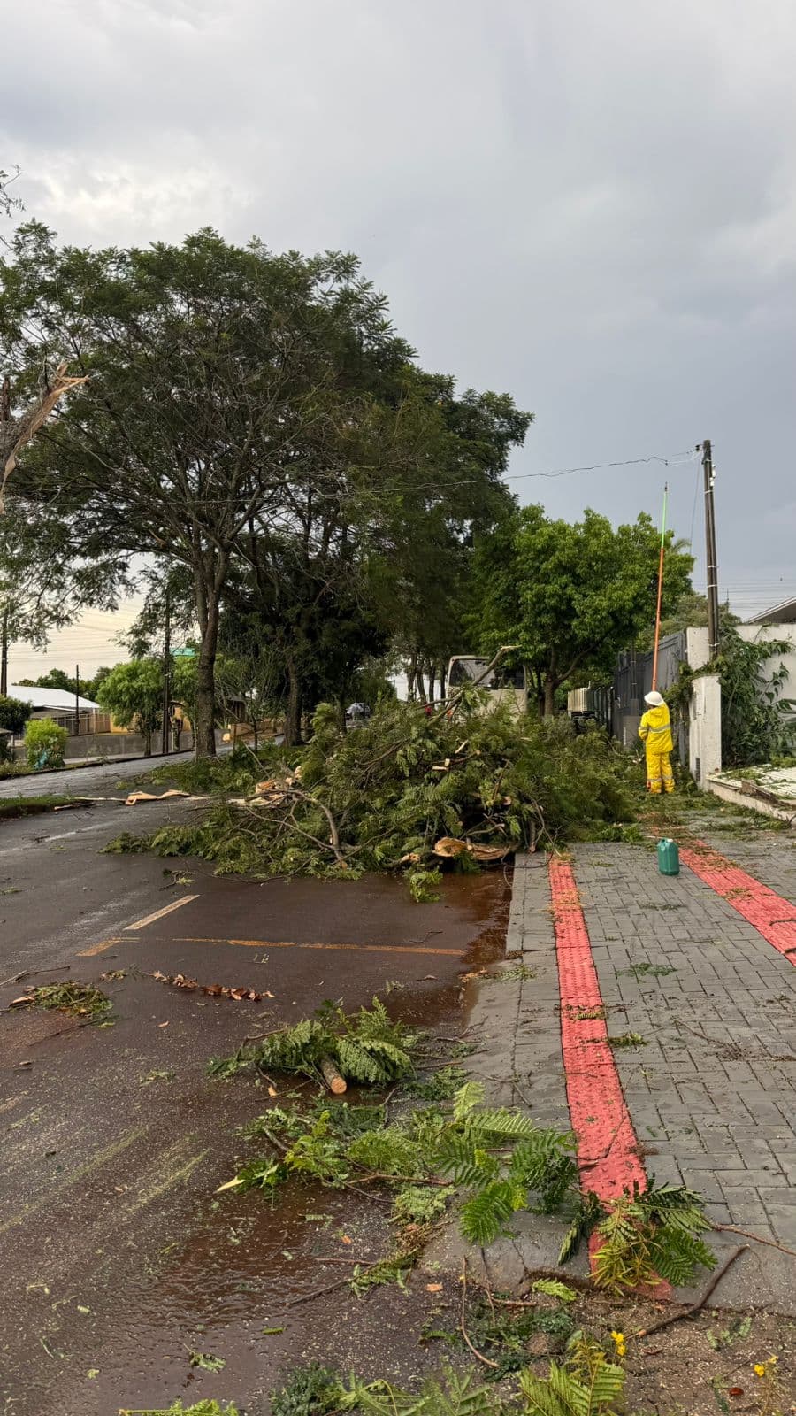 Chuva forte e ventos derrubam galhos e mobilizam equipes da prefeitura em Pinhalzinho (Foto por Ascom)