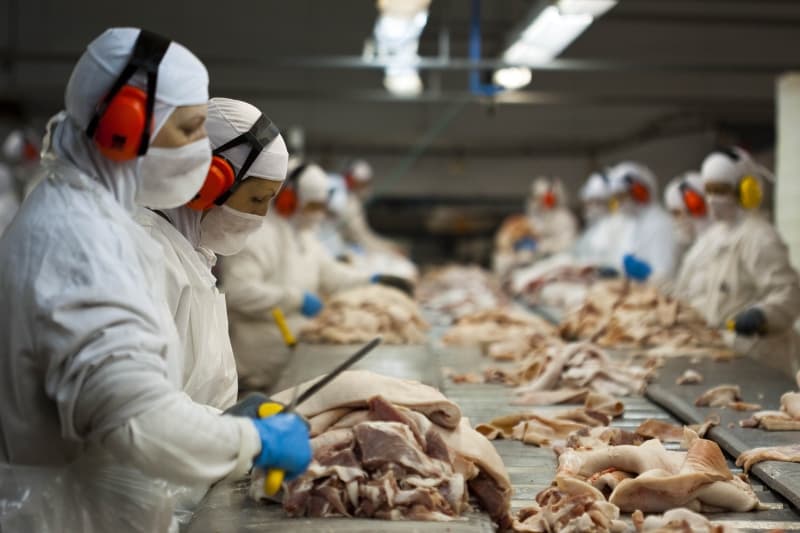 Indústria de alimentos de Santa Catarina cresceu quatro vezes mais do que a média nacional em 2025 (Foto por Plinio Bordin)