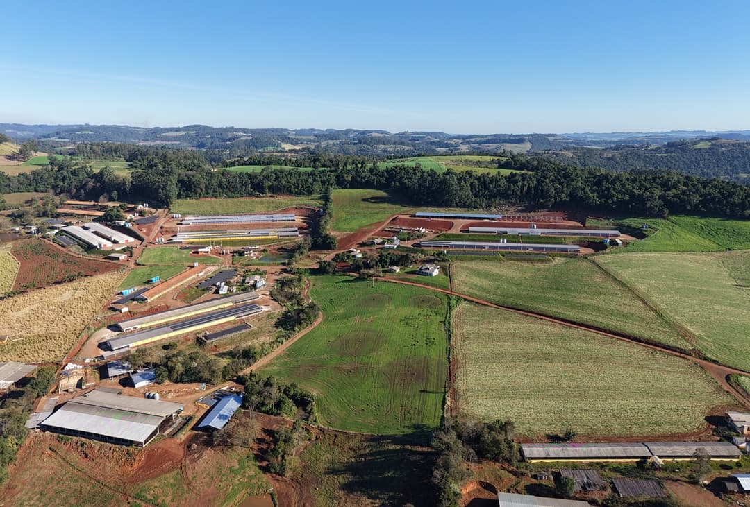Avicultura avança com cerca de 60 novas estruturas em Nova Itaberaba
