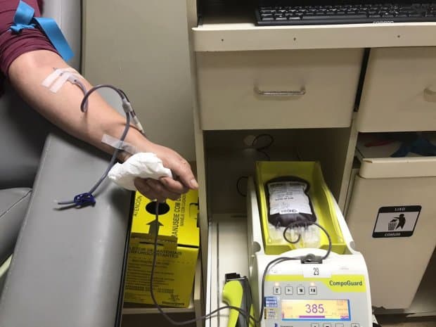 Hemosc adota novos critérios para doação de sangue em Santa Catarina (Foto por Ritta Dias/Secom)