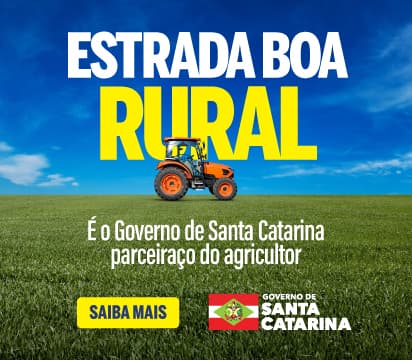 Publicidade