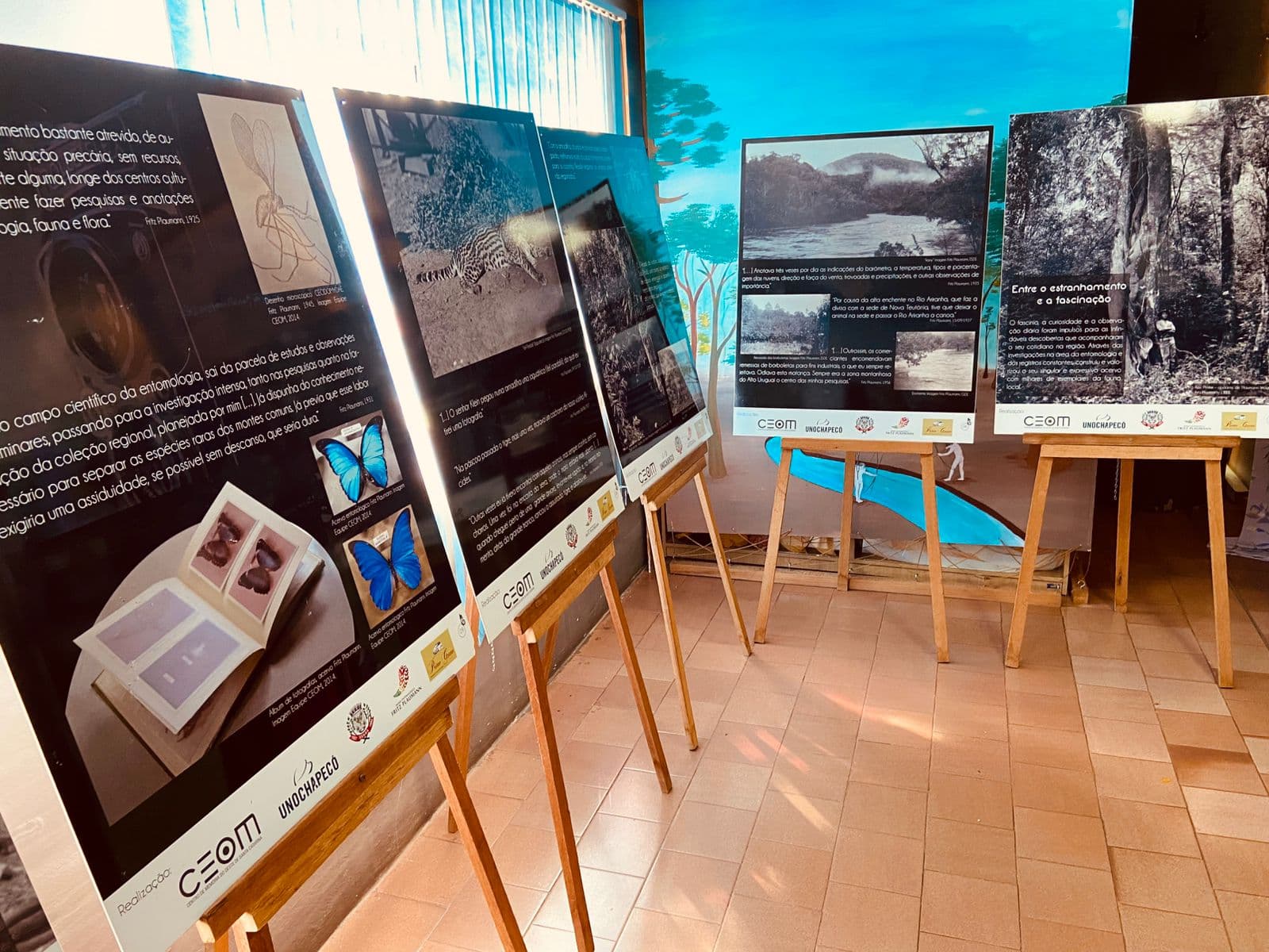 Exposição inédita em Pinhalzinho destaca olhar científico e sensível sobre o Oeste catarinense (Foto por Divulgação)