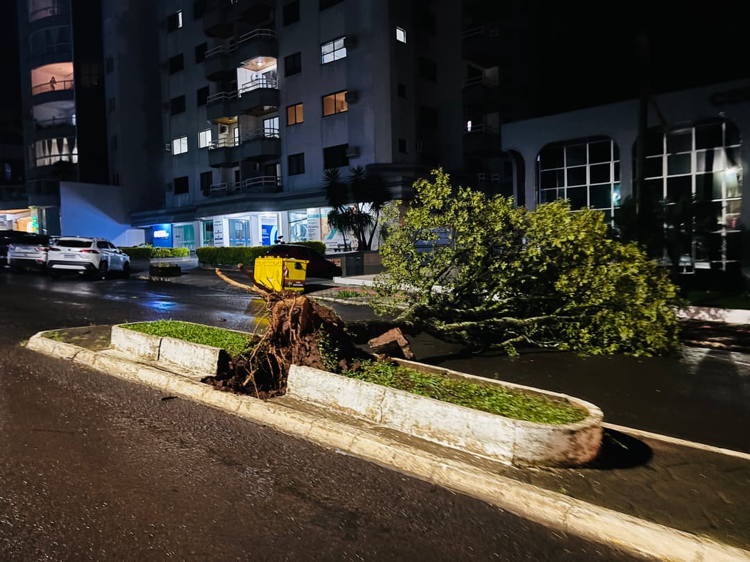 Mau tempo derruba árvores sobre ruas e veículos em Pinhalzinho