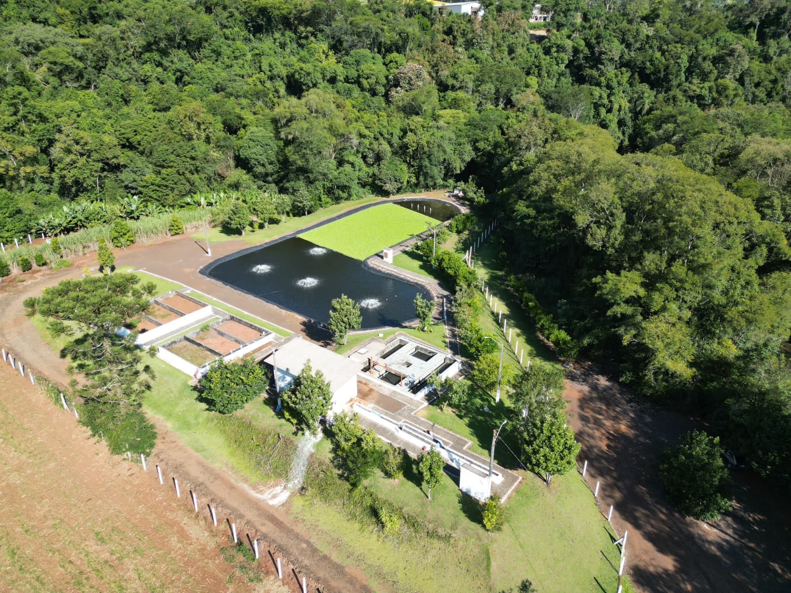 Entupimentos recentes no centro da cidade evidenciam problema e levam prefeito a reforçar pedido por mais responsabilidade no descarte de resíduos (Foto por Divulgação)