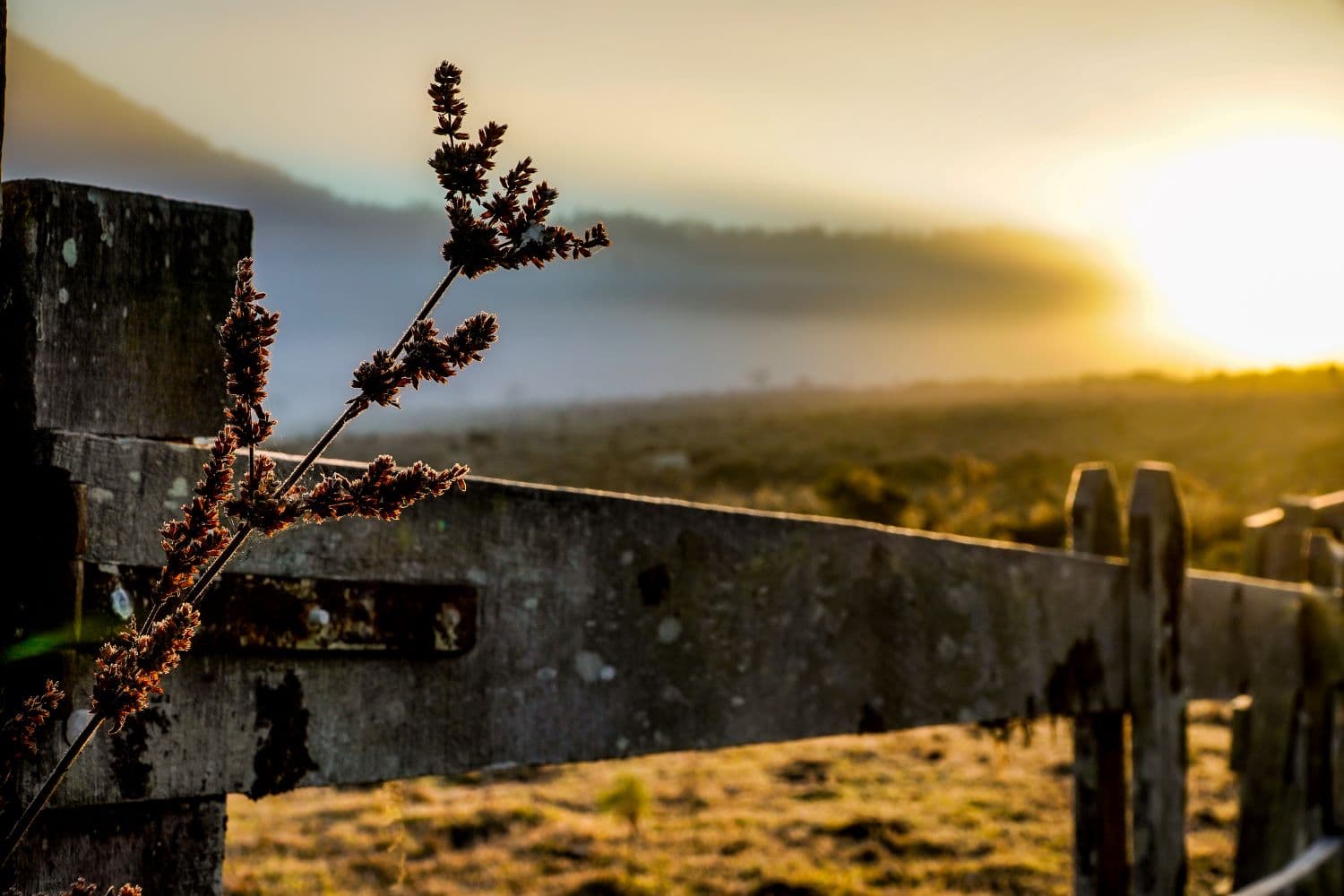 Massa de ar polar deve intensificar o frio entre domingo e terça-feira, com mínimas próximas de 0°C nas áreas mais frias e possibilidade de geada na Serra Catarinense (Foto por Divulgação)