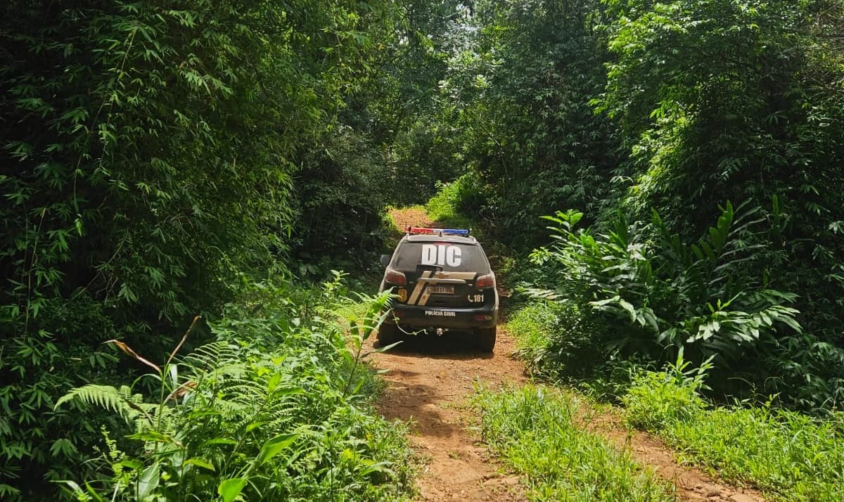 Após o encontro do corpo, o Instituto Geral de Perícias (IGP) foi acionado (Foto por Polícia Civil)
