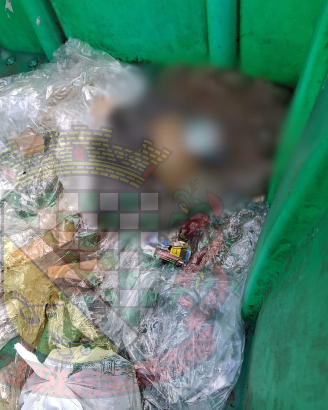 Lixo reciclável vira cenário de crime ambiental após descarte de animais mortos (Foto por Ascom)