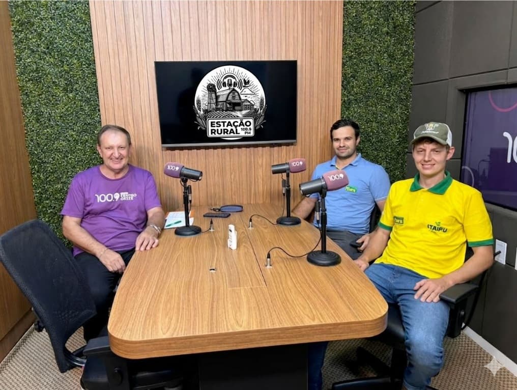 Genética e tecnologia impulsionam produção de matrizes suínas no Oeste catarinense