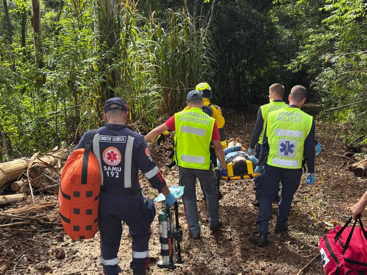 Queda de árvore durante corte provoca acidente de trabalho (Foto por Divulgação CBM)