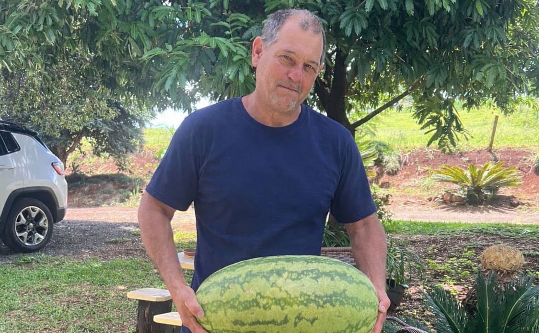 Agricultor colhe melancia de 20 kg no dia do seu aniversário