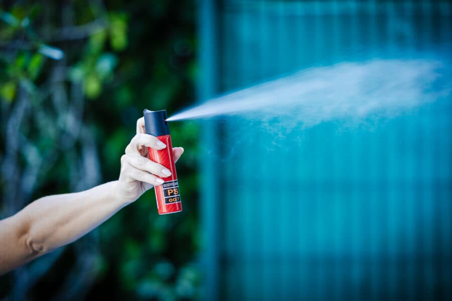 Comissão de Finanças aprova projeto que garante spray de pimenta para mulheres sob medida protetiva (Foto por Bruno Collaço)